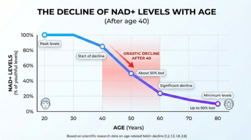 Graph showing the decline of NAD+ levels with age